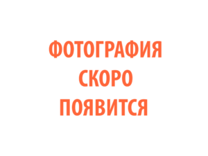 Фото 77 - ГорелкаTECH MS 500.
